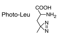 Photo Amino Acids