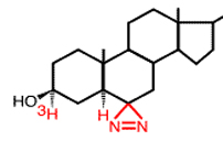 Photo Lipids