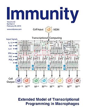Immunity Cover