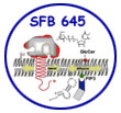 SFB 645-Logo