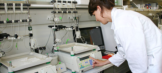 studium-lehre-limes-institut-002